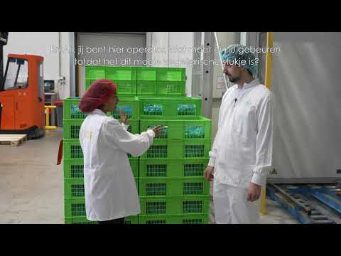 Plant Based Manufacturer Looking for Employees | Ojah B.V.