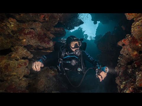 Scuba Diving in Roatan Honduras, Cocoview Resort