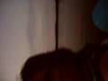 Chriskii And Kristen Hear Echo S