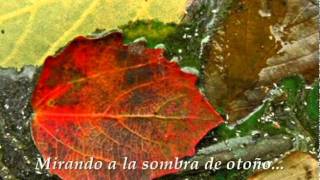 The Vines - Autumn Shade II (Subs español)