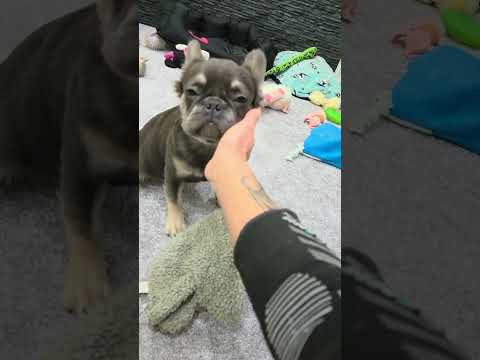 Video 1