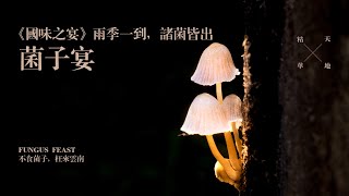 Feast of National Taste Yunnan - Mushroom Banquet, Wild Mushroom Kingdom