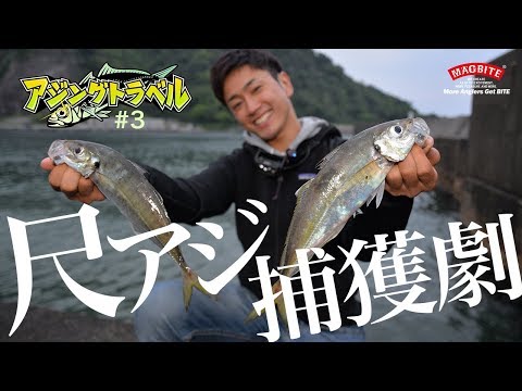 《アジングトラベル vol.3 》 狙いすまして見事達成！尺アジ連発劇！