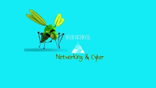 2 כתובות IP