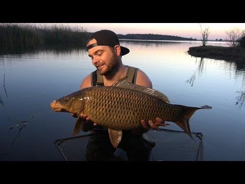 Leitfaden für Karpfenangelköder S1E1