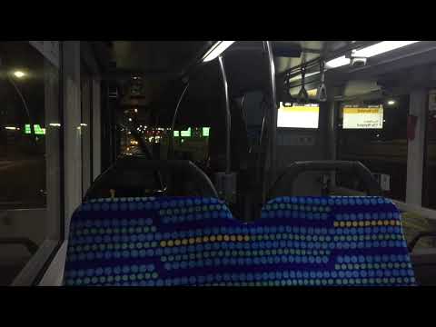 STA Sydney 2870 ST - MAN ND323F (ZF EcoLife Kickdown)