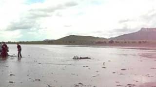 preview picture of video 'Harry en la Laguna de Bustillos'