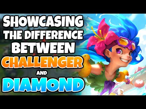Showcasing the Difference between a Challenger Zoe & Diamond Azir | Pekin Woof