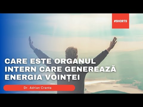 Care este organul intern care genereaza energia vointei
