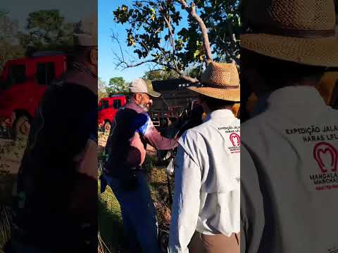 PARTE - 7 - PREPARAÇÃO PARA CAVALGADA JALAPÃO ENTRE SÃO FÉLIX TOCANTINS A MATEIROS.