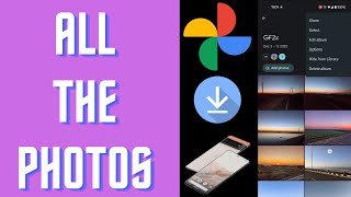 How to Download Multiple Photos from Google Photos on Android