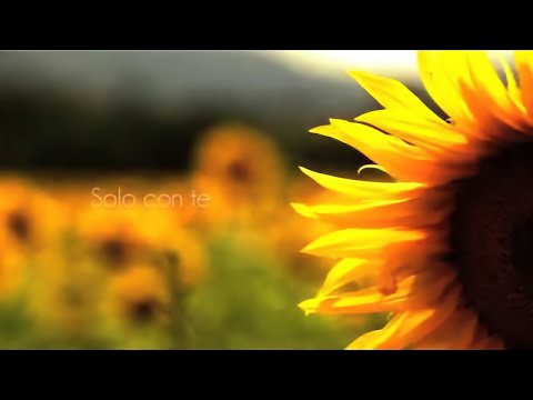 Emozioni Libere & Daniele Meo - Solo con te (Lyric Video)