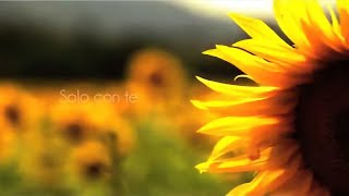 Emozioni Libere &amp; Daniele Meo - Solo con te