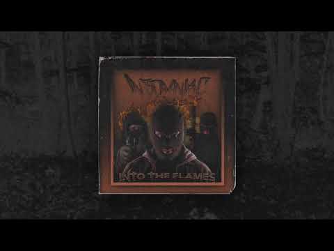 INSOMNIAC - INTO THE FLAMES [PROD. INSOMNIAC]