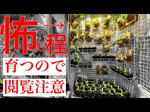 国立植物温室 - 定義