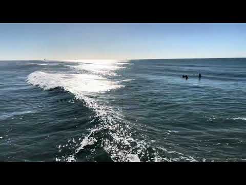 Sea bulletin, new live camera, north side, Tramandaí RS platform.