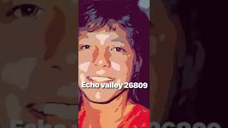 Echo valley 26809/Partridge Family/Cover Dixon