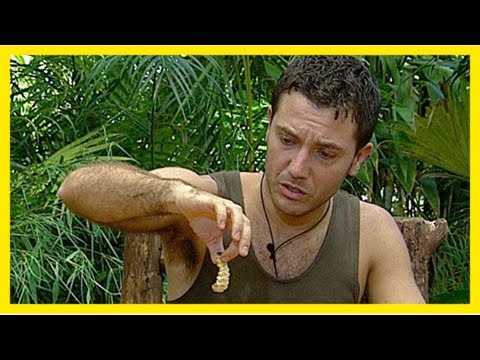 I'm a celeb: is this the grossest challenge yet?