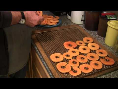 download lagu mp3 mp4 Persimmon Slices, download lagu Persimmon Slices gratis, unduh video klip Persimmon Slices