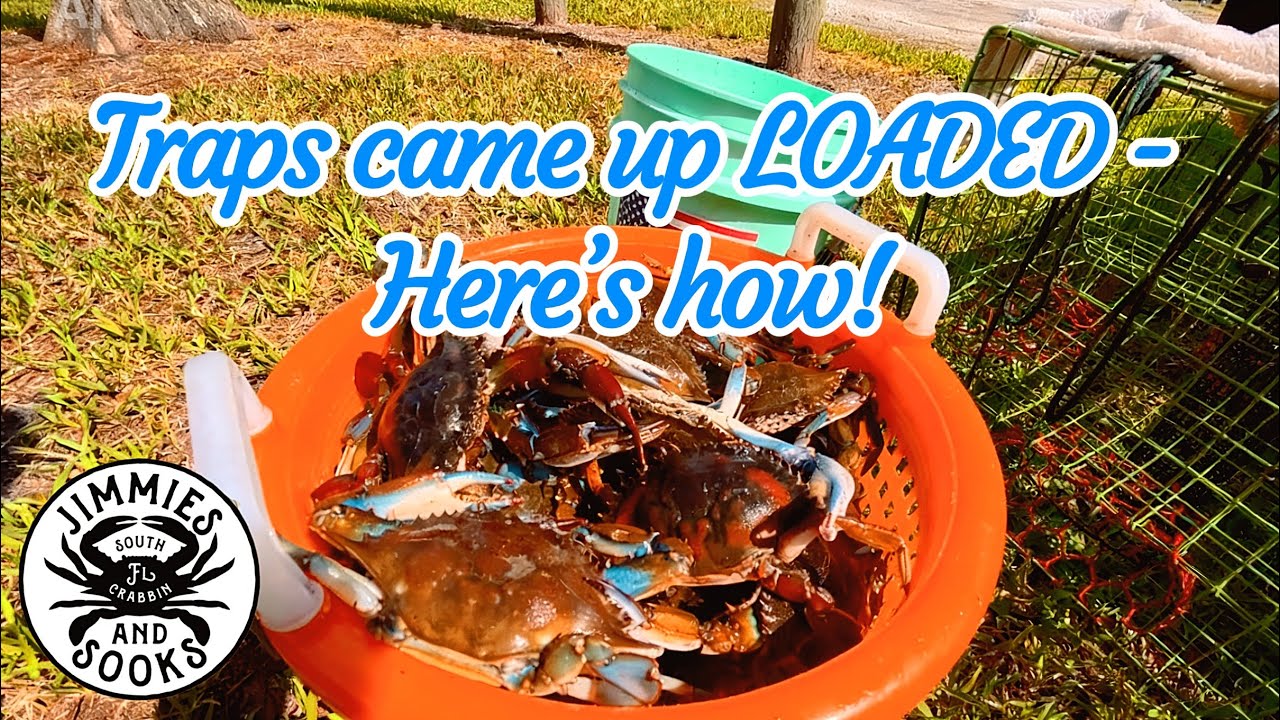 Nobody Talks About this Florida Crabbing Spot- Catch and Cook, Baltimore Crab Dake