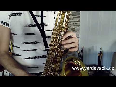 Život je jen náhoda - J.Ježek