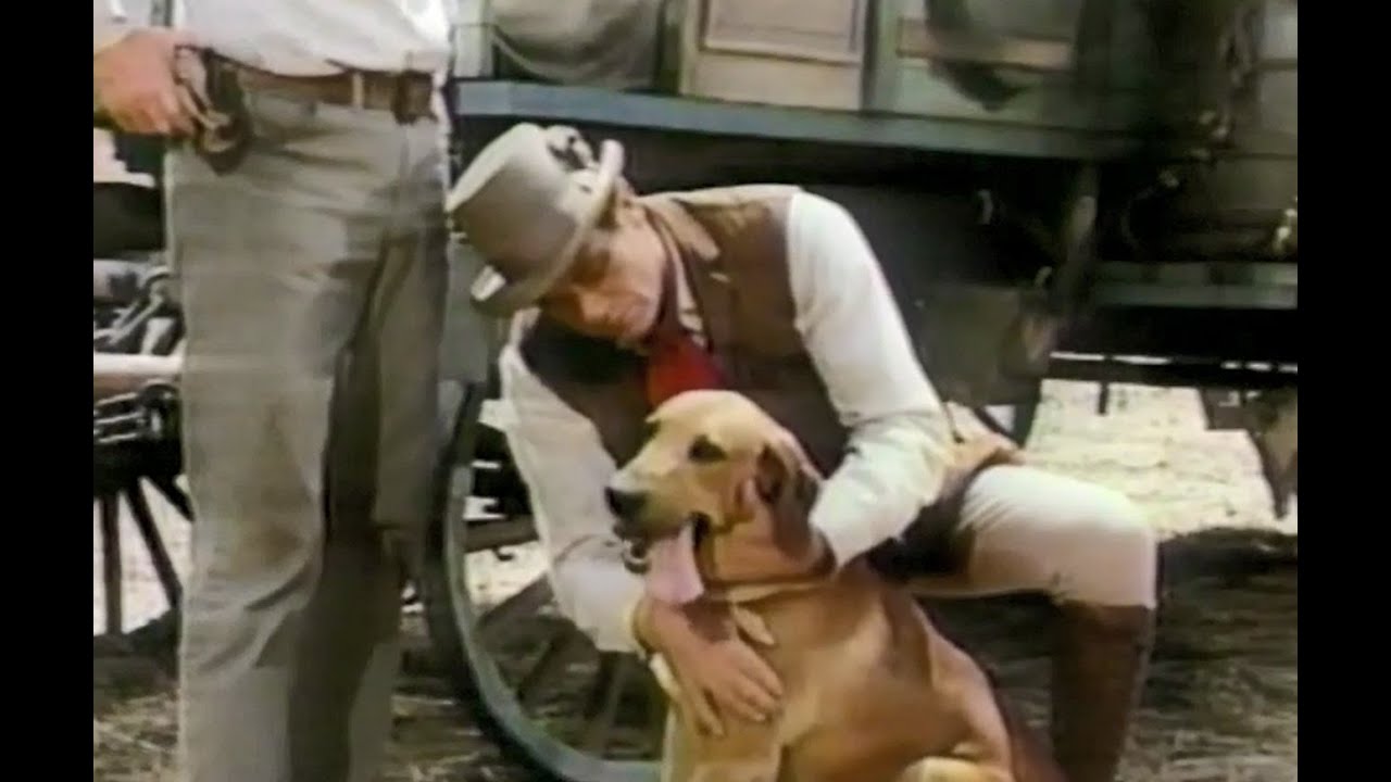 Disney's "Boomerang, Dog of Many Talents" Part 1 Season 15 Ep 2