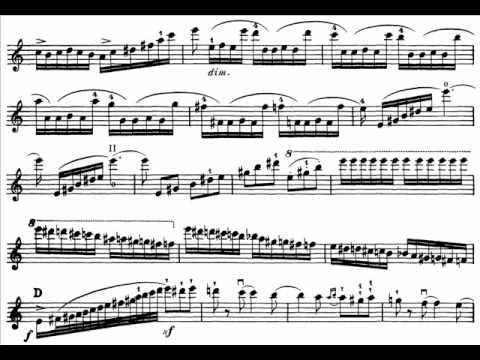 Saint-Saëns, Camille  Introduction + Rondo Capriccioso op. 28 violin & orchestra