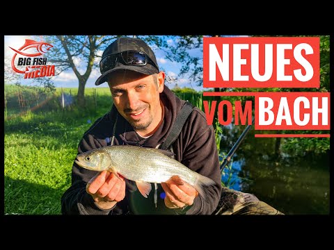 Angeln am Bach - Neue Abenteuer mit Christian