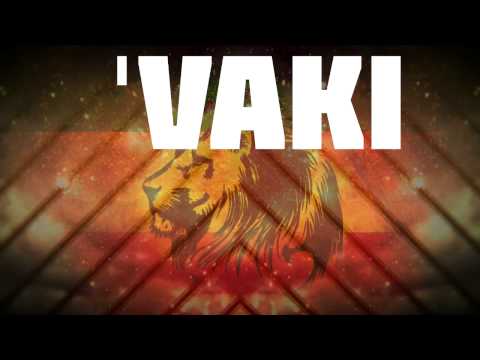 Sajfer ft. AseBase - Pozitiva