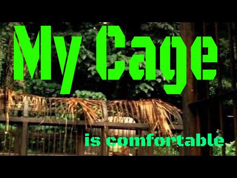 My Cage by Abraham Cloud  HD