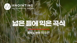 넓은 들에 익은 곡식 Far and Near The Fields are TeemingㅣAnointing Inst. Series