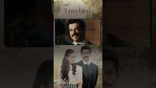 Download lagu The Peace of Hugging Your Lover | Lovebird #shorts mp3