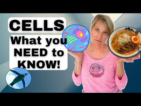 Animal Cells: What You NEED to KNOW! | Bio Basics 🐧
