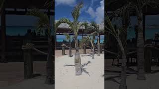 Halfmoon Cay's most perfect beach bar moment #vacation #cruiseship #viral