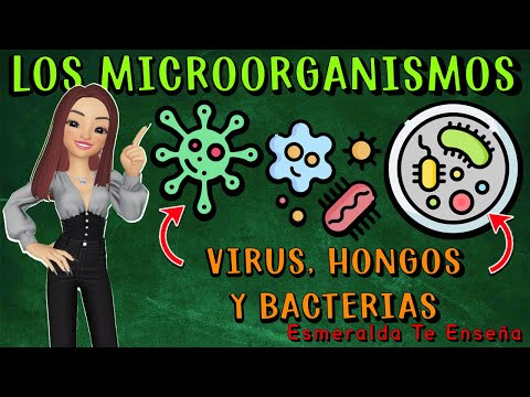🔬🤧Microorganisms: Viruses, Bacteria, Fungi, and Parasites🦠🔍