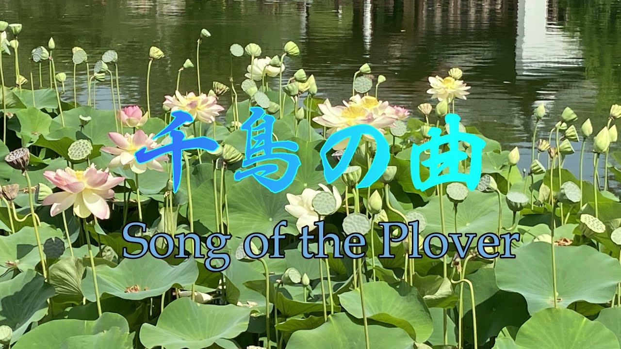 Promotional video thumbnail 4 for Saeko Kujiraoka -Japanese Koto Music