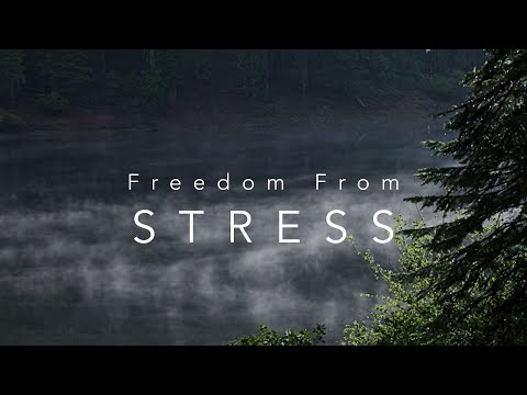 Freedom From STRESS