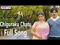Chiguraku Chatu Full Song Gudumba Shankar Pawan Kalyan Pawan Kalyan Mani SharmaHits Aditya Music