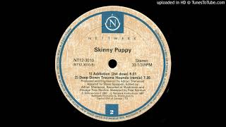 Skinny Puppy - Deep Down Trauma Hounds (ᴀᴅʀɪᴀɴ ꜱʜᴇʀᴡᴏᴏᴅ ʀᴇᴍɪx)