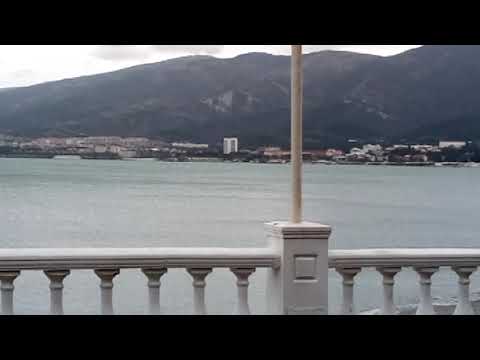 21 января, в Геленджике цветут анютины глазки