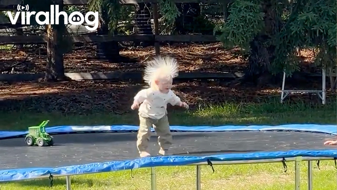 My Little Dandelion || ViralHog