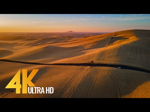 4K Bird's Eye View of the Palouse Fields in Summer - Ambient Drone Film + Soothing Music