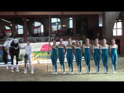 Deutscher Voltigierpokal der L Gruppen Finale 26 06 2016 Kür