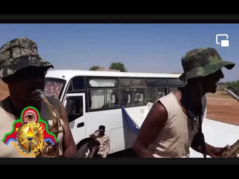 Jigna serawit eritra🌹