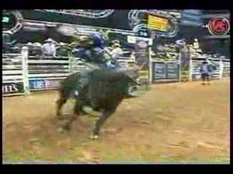 Mike White Vs. Wild Life