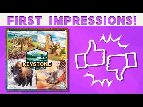 Keystone North America - First Impressions Review!