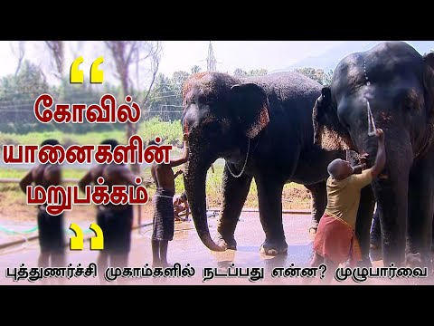 Saravanaprasath yaanigal puthunarvu mugamil nadappathu enna ?