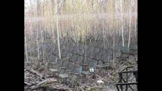 The Birthday Party- Jenifer&#39;s Veil