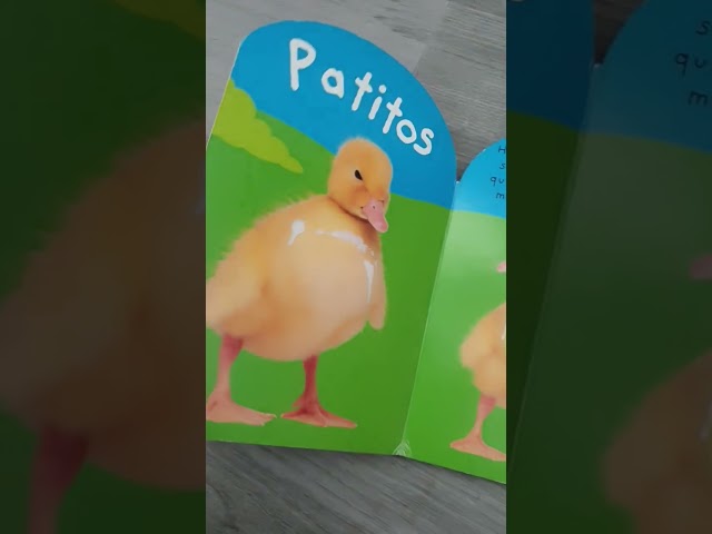 Vídeo relacionado con Conejito Miniatura: LIBRO EN ESPAÑOL PARA NIÑOS DE 6-8 AÑOS (Libros Ilustrados para Niños)
