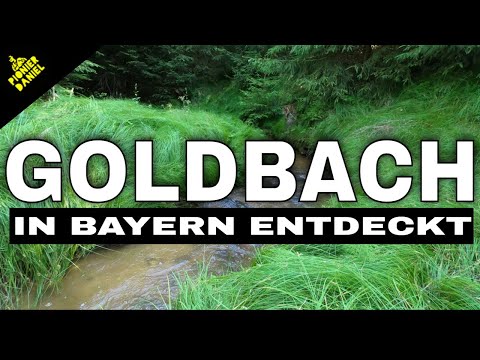 Gold panning - Goldbach discovered in Bavaria!